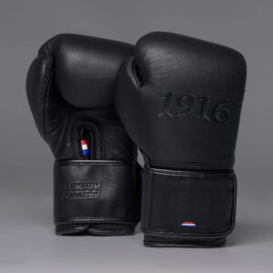 1916 Fight Gear Bokshandschoenen Premium Elite Black/Black
