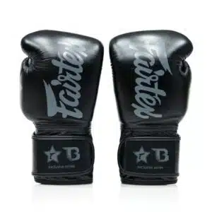 Fairtex Bokshandschoenen FXB BG V2 Black