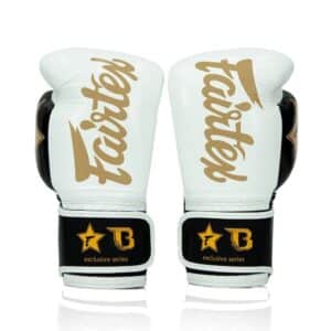 Fairtex Bokshandschoenen FXB BG V2 White/Black