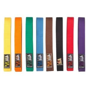 Matsuru Budo Band Bruin