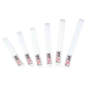 Matsuru Budo Band Wit