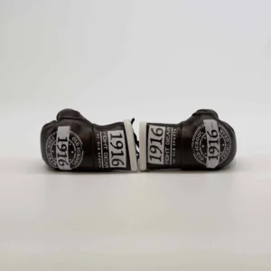 1916 Fight Gear Car Hanger Bruin