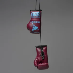 1916 Fight Gear Car Hanger Lest We Forget Airborne